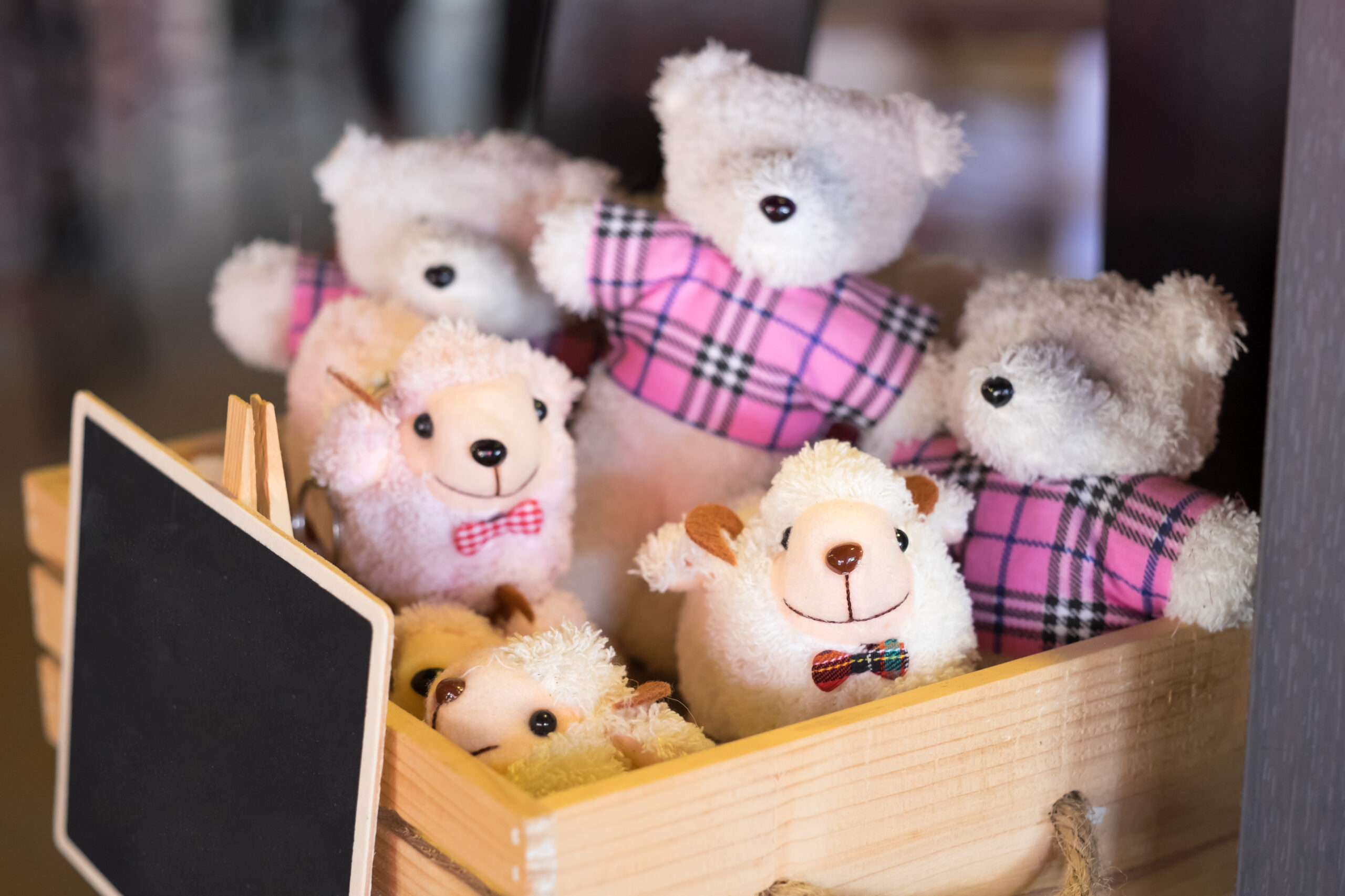 cute-stuffed-animals-in-wooden-box-with-sign-2026-03-26-22-36-45-utc